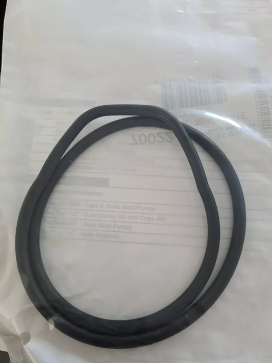 Seal Plate O-Ring for Astral Pool CTX / E / E-combi / P320 Pumps (Aug 14 to...