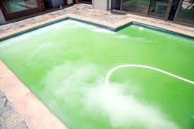 Green pool alert - how to rectify it quickly to get you swimming again!